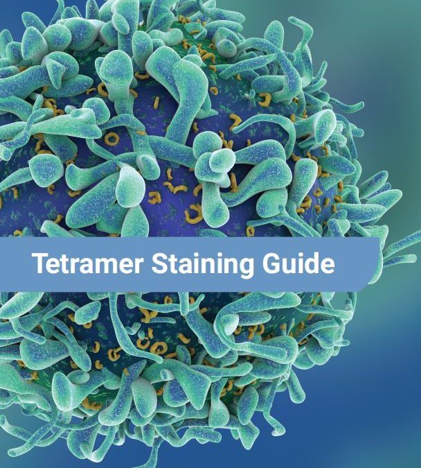 Brochure: Tetramer Staining Guide