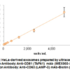 Anti-CD63 (LAMP-3) elisa