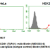 Anti-CD81 (TAPA1) fcm