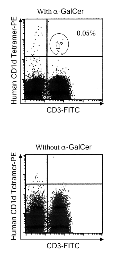 T-Select Human CD1d Tetramer – APC