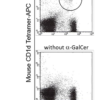 Mouse CD1d NKT cell detection FCM
