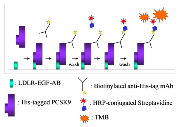 PCSK9-LDLR in vitro Binding Assay Kit