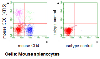 Anti-CD8 (Mouse) mAb-PE (Monoclonal Antibody)