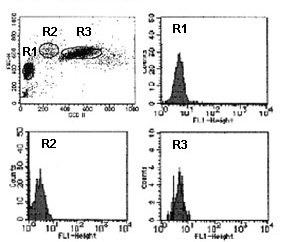 Mouse IgG1 (isotype control)