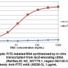 Anti-FITC mAb IP