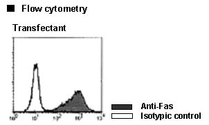 Anti-Fas (CD95) (Human) mAb-PE (Monoclonal Antibody)