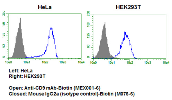 Anti-CD9 mAb-Biotin