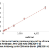 Anti-CD9 mAb-Biotin