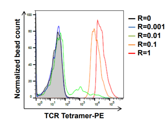 Human TCR Tetramer-PE (HLA-A*24:02 PBF145-153-AYRPVSRNI)