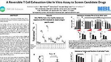 Scientific Poster: A Reversible T Cell Exhaustion-Like In Vitro Assay to Screen Candidate Drugs