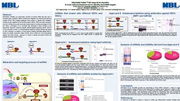 Scientific Poster: RiboCluster Profiler™ RIP-Assay Kit for microRNA: A novel immunochemical tool to identify microRNA targets