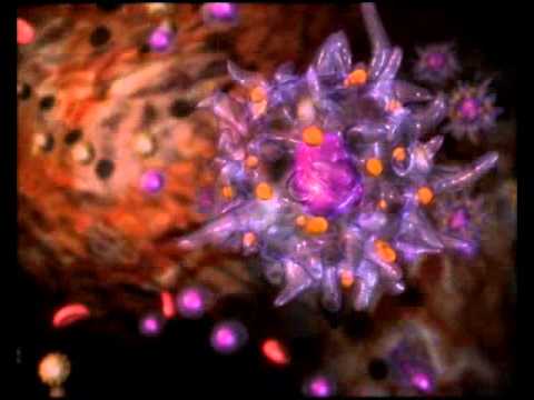 Video: MHC Tetramers and antigen-specific T cell receptors